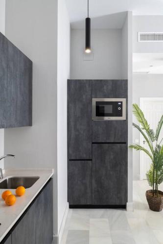 San Buenaventura Apartment 11