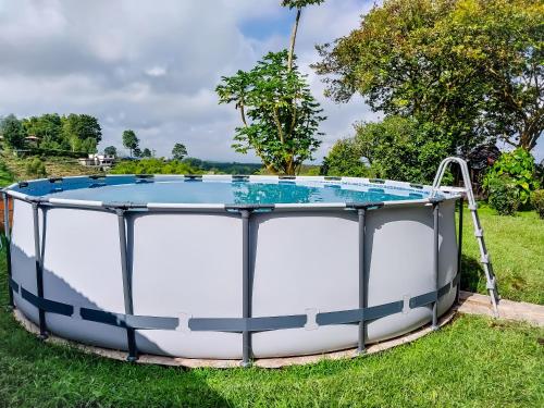 a round pool in the grass in a yard at Hostal Finca Villa Maria in Filandia