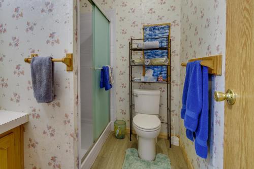 een badkamer met een toilet en een douche met blauwe handdoeken bij Upstate NY Vacation Rental 1 Mi to Fairhaven Beach in Red Creek