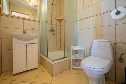 a bathroom with a toilet and a shower and a sink at DOMKI LUNA in Rowy