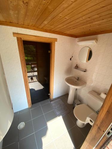 a bathroom with a sink and a toilet at Männiliiva puhkemaja in Hiiumaa