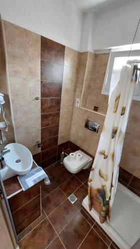 a bathroom with a toilet and a sink and a shower at VILLA SEVI in Nea Vrasna