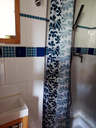 La salle de bains est pourvue d'une douche avec un rideau de douche bleu et blanc. dans l'établissement Maison les Salles-sur-Verdon, aux Salles-sur-Verdon