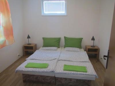 a bedroom with two twin beds with green pillows at Silver Apartman Patince in Patince