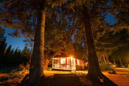 a cabin in the woods between two trees at night at Johnston Canyon Lodge & Bungalows in Castle Junction