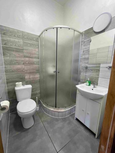 a bathroom with a shower and a toilet and a sink at Green Hostel in Krakow