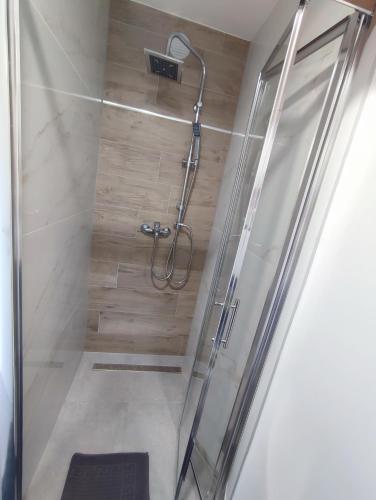 a shower in a bathroom with a glass door at Nika 2 in Rijeka