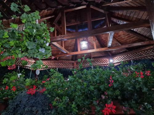 a room filled with lots of plants and a wooden ceiling at Vila N&N Palace in Bistriţa Bîrgăului