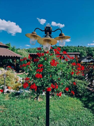 a street light with red flowers in a garden at Vila N&N Palace in Bistriţa Bîrgăului