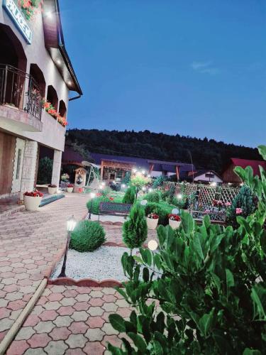 a courtyard with potted plants and a building with lights at Vila N&N Palace in Bistriţa Bîrgăului