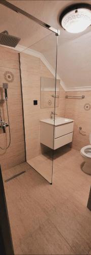 a bathroom with a shower and a sink and a toilet at Vila N&N Palace in Bistriţa Bîrgăului