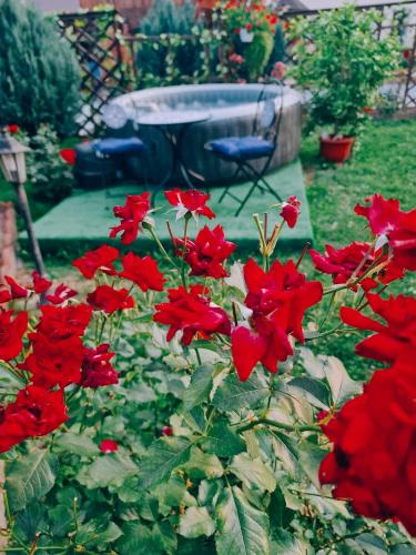 a group of red flowers in a garden at Vila N&N Palace in Bistriţa Bîrgăului