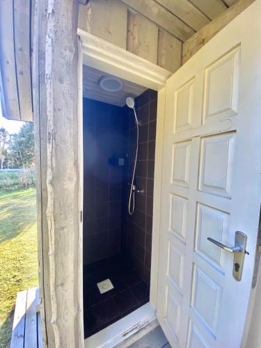 a shower in a house with a door at Männiliiva puhkemaja in Hiiumaa