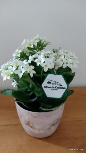 a plant with white flowers in a pot on a table at Pousada Filhos da Canastra in Vargem Bonita