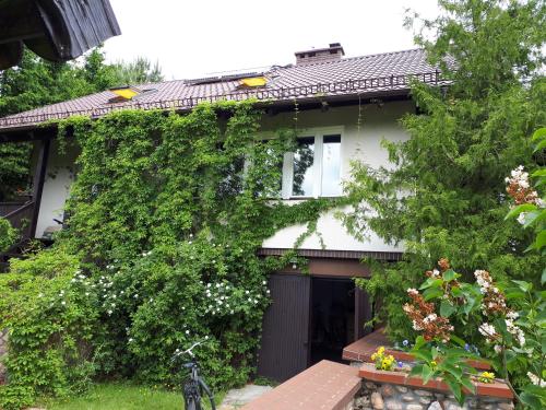 a ivy covered house with a garage at Całoroczny duży dom na Mazurach n.Jeziorem Omulew. in Jabłonka