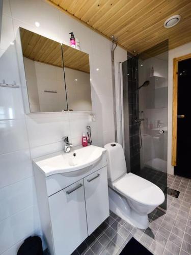un bagno con wc, lavandino e doccia di Beaivváš - luminous city home a Rovaniemi
