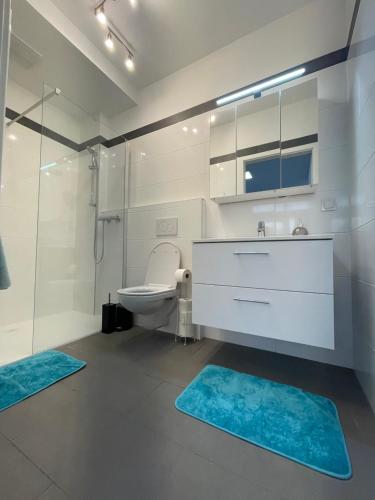 uma casa de banho com um WC, um lavatório e um chuveiro em Sandy’s Home em Neusiedl am See