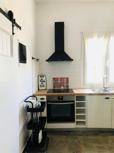 a kitchen with a stove and a sink at Vlami's House Andros in Apróvaton