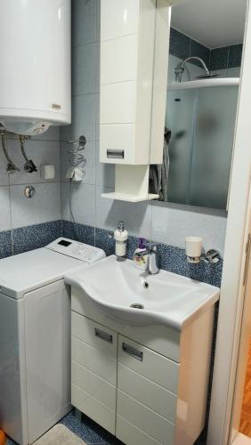 a bathroom with a white sink and a mirror at Apartman LUX BRUS in Brus