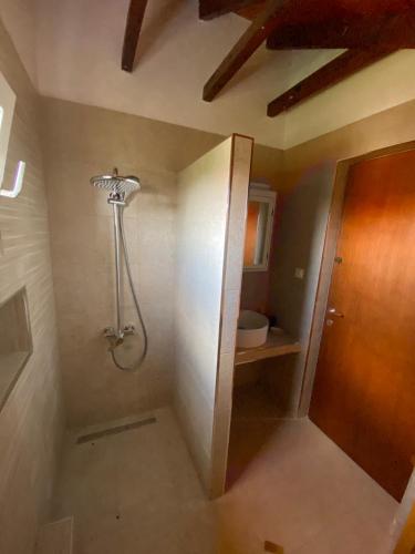a bathroom with a shower and a toilet at Elia House in Vatopedi