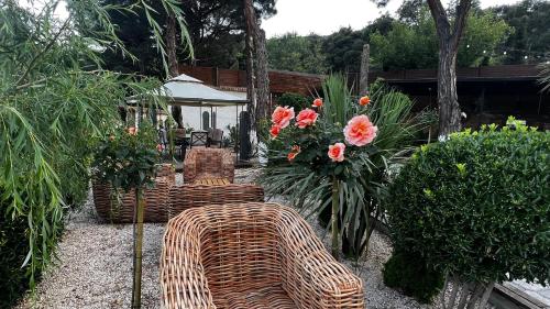 mtskheta room 53 – Fotos 3