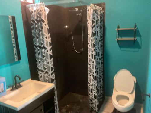 een badkamer met een douche, een toilet en een wastafel bij VILLA OASIS in Puerto Vallarta