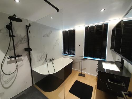 a bathroom with a shower and a sink and a tub at Le Coq d'or in Theux