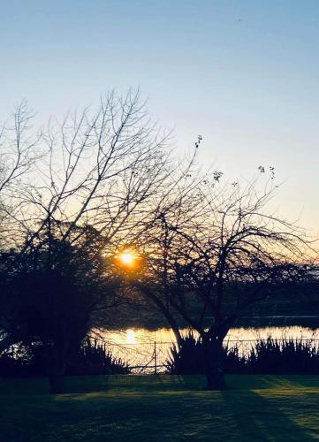 a sunset over a body of water with two trees at Riverside in Clive in Clive