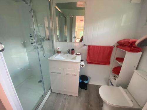 a bathroom with a shower and a sink and a toilet at Riverside in Clive in Clive