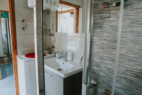 ein Bad mit einem Waschbecken und einer Dusche in der Unterkunft Kuća za odmor ''FURLAN'' in Gospić