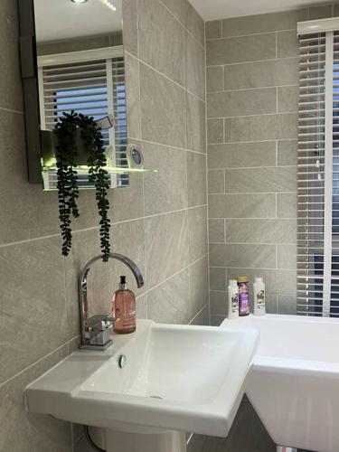 a bathroom with a white sink and a mirror at Elora's Dream in Wisbech