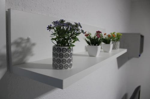Fotografie z fotogalerie ubytování VILLASHINOJOSA LUXURY poesia ve Valencii