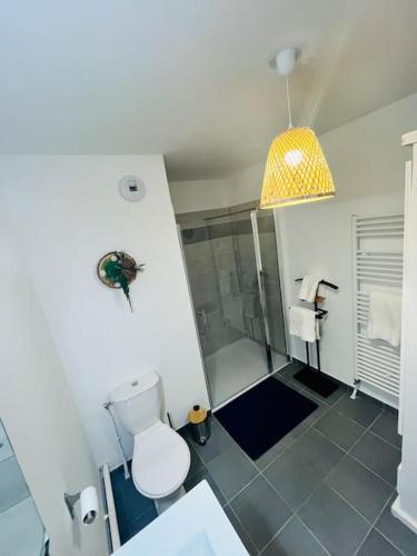 La salle de bains est pourvue de toilettes et d'une douche. dans l'établissement L’Atelier des rêves à 200 m de la plage, à Fort-Mahon-Plage