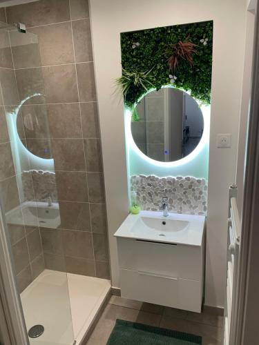 a bathroom with a sink and a mirror at L'extasia appartement,spa jacuzzi Grenoble in Grenoble