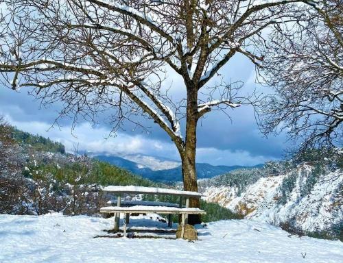 Gallery image of Cottage in Racha Khoteura in Ambrolauri