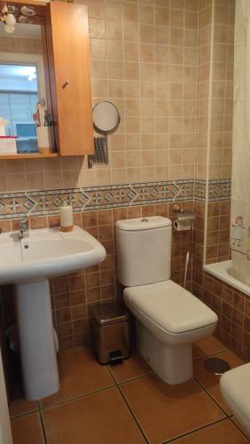 een badkamer met een toilet en een wastafel bij Viajero del Sol El Morche Torrox Costa Málaga in Morche