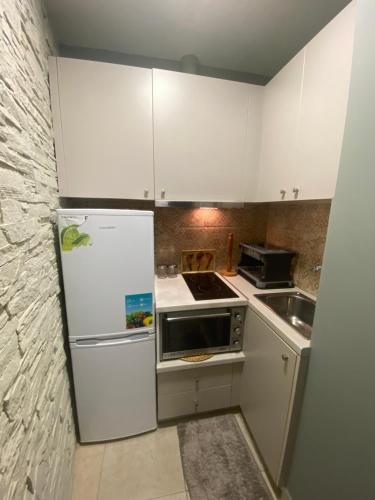 a kitchen with a white refrigerator and a sink at Corali in Menídion
