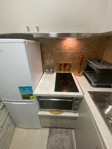 a small kitchen with a stove and a refrigerator at Corali in Menídion