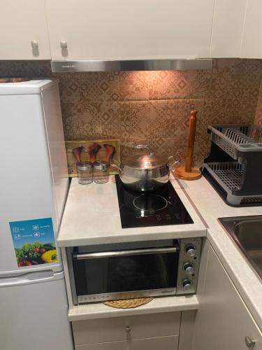 a kitchen with a stove with a pot on it at Corali in Menídion