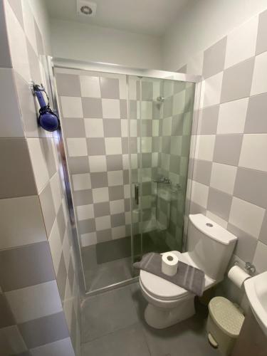 a bathroom with a shower and a toilet and a sink at Corali in Menídion