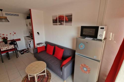 magnifique APPARTEMENT vue mer Parking Piscine Plage Climatisé