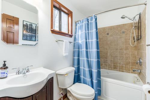 uma casa de banho com um lavatório, um WC e um chuveiro em Stone Chalet - Amazing Views Hot Tub & Huge Deck em Inwood