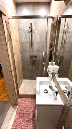 a bathroom with a shower and a sink and a sink at Double Studio City Center in Krakow