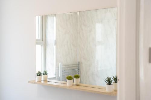 a window with potted plants on a wooden shelf at Home from Home - 5 mins from town! in Liverpool