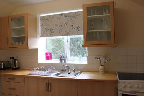 una cocina con fregadero y ventana en Druid Apartment, en Inverness
