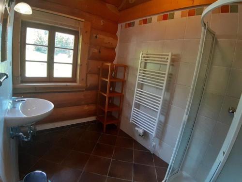 W łazience znajduje się prysznic i umywalka. w obiekcie Luxuriöse Blockhütte mit Sauna und Whirlpool w mieście Lachtal