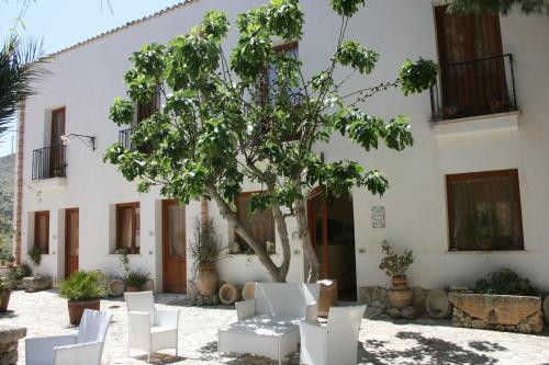 a group of white chairs and a tree in front of a building at Hotel Il Cortile in Custonaci
