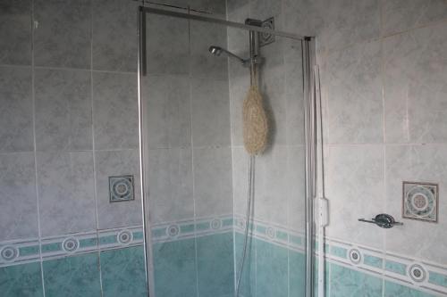 baño con ducha y puerta de cristal en Cozy light single bedroom, en Edgware