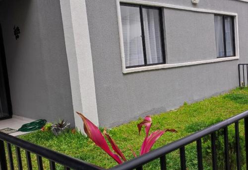 Ein Garten an der Unterkunft Garden Ipojuca Caruaru