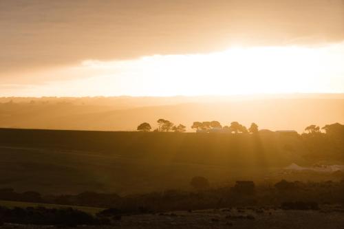 a sunset over a field with trees in the background at CABN Kangaroo Island in Penneshaw